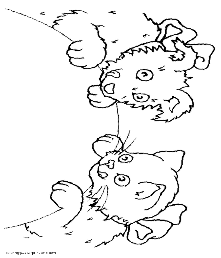 Cat and dog printable coloring page