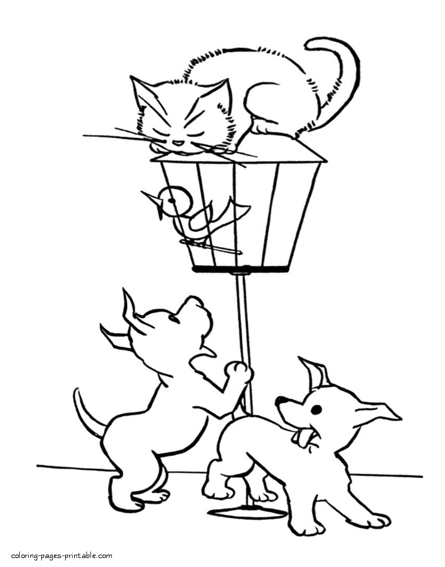 Dogs and cat coloring pages