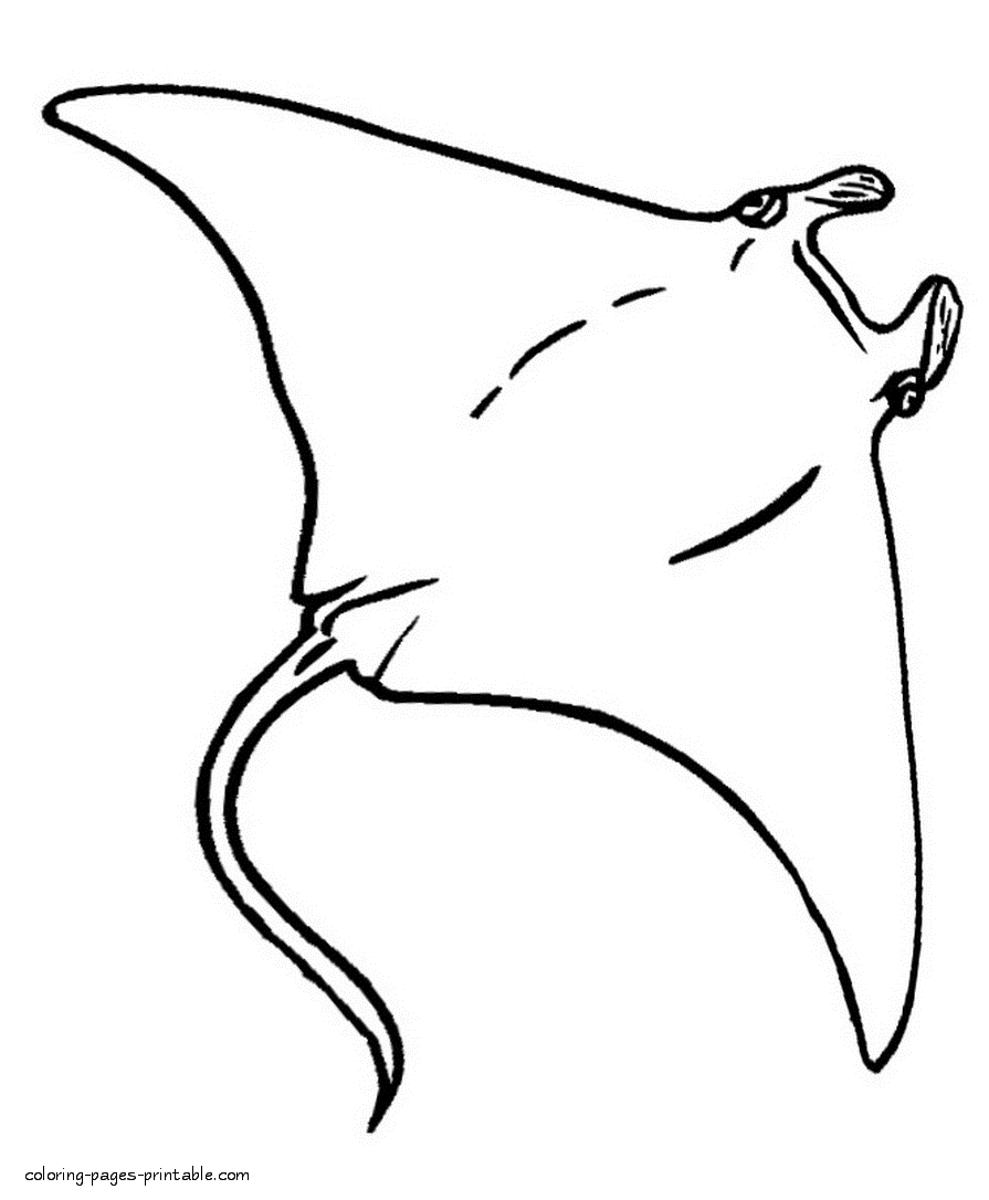 Deep sea fishes coloring pages. Stingray