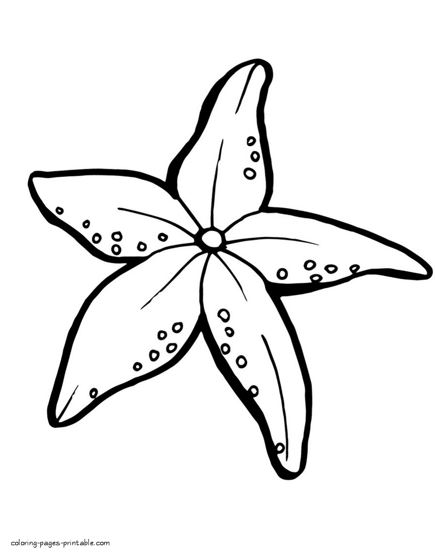 Coloring pages of starfish. Ocean creatures for kids