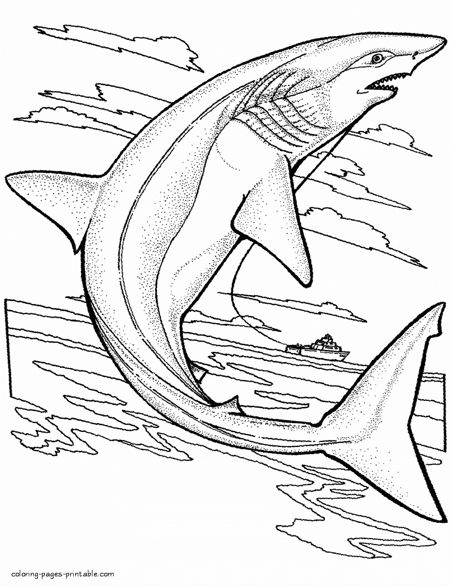 Coloring pages of sea animals. Sharks pictures