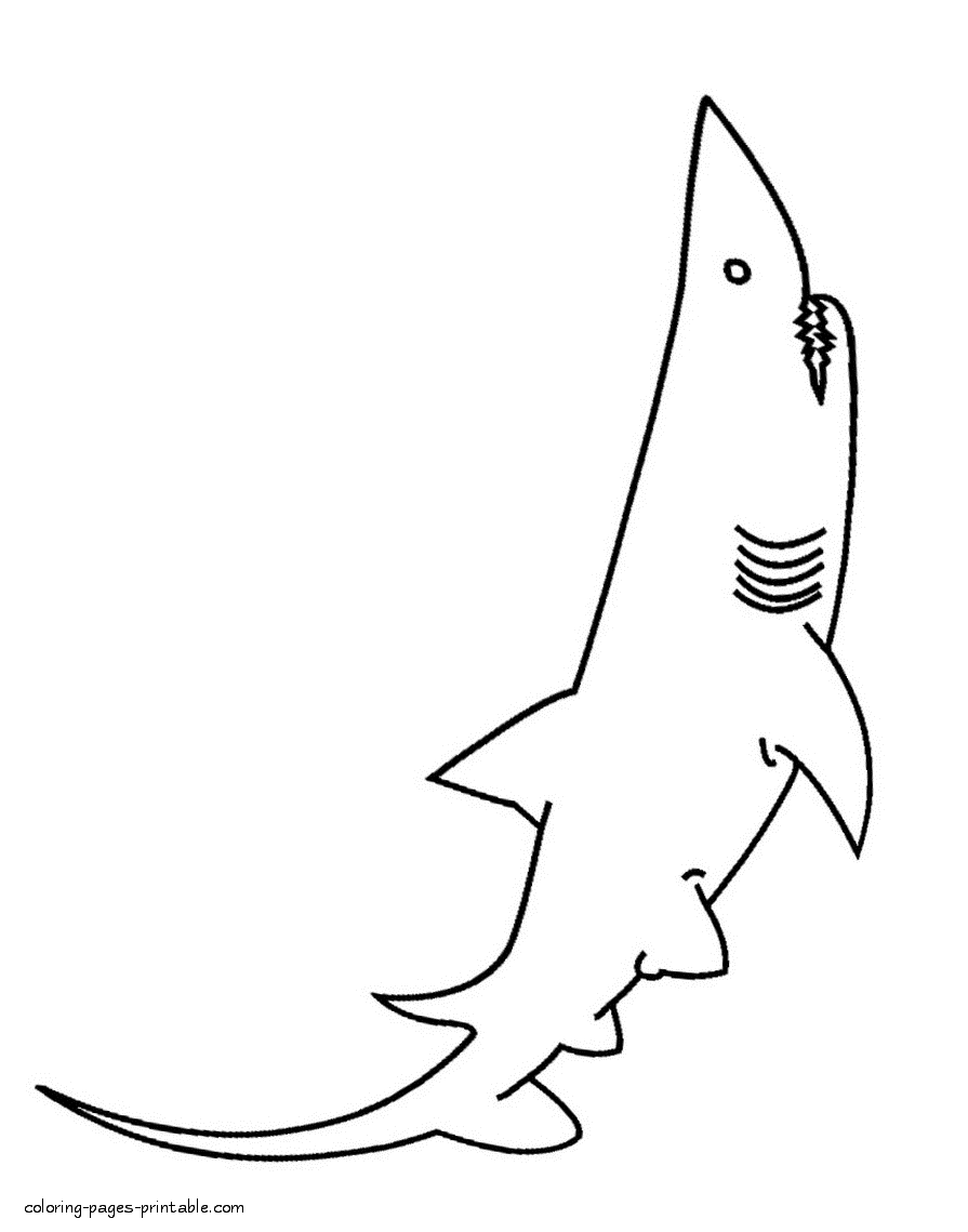 Coloring pages sea animals. Shark printable