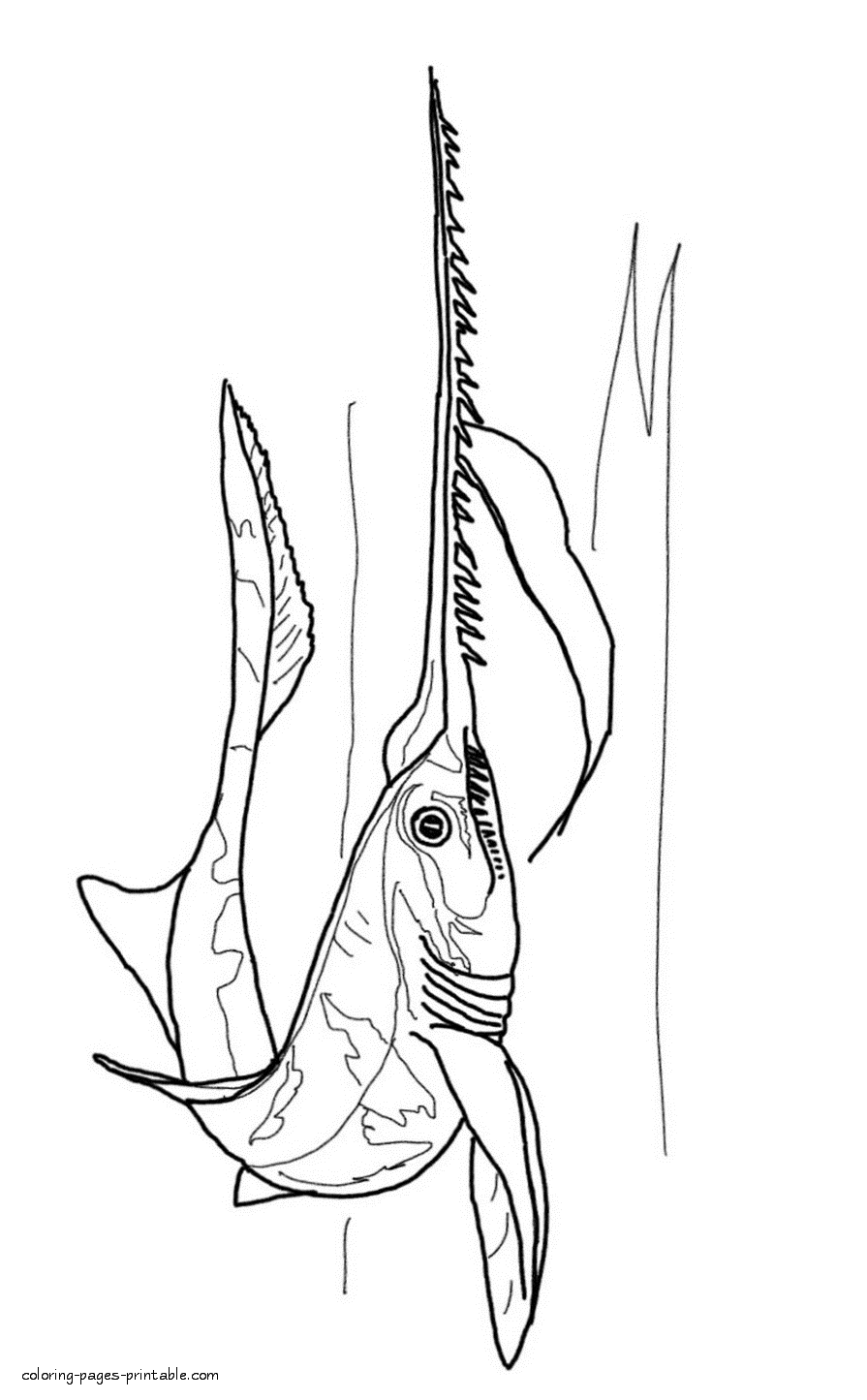 Coloring page of the sea life. Sharks