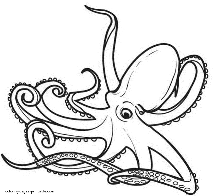 Sea animals coloring book to print. Octopus