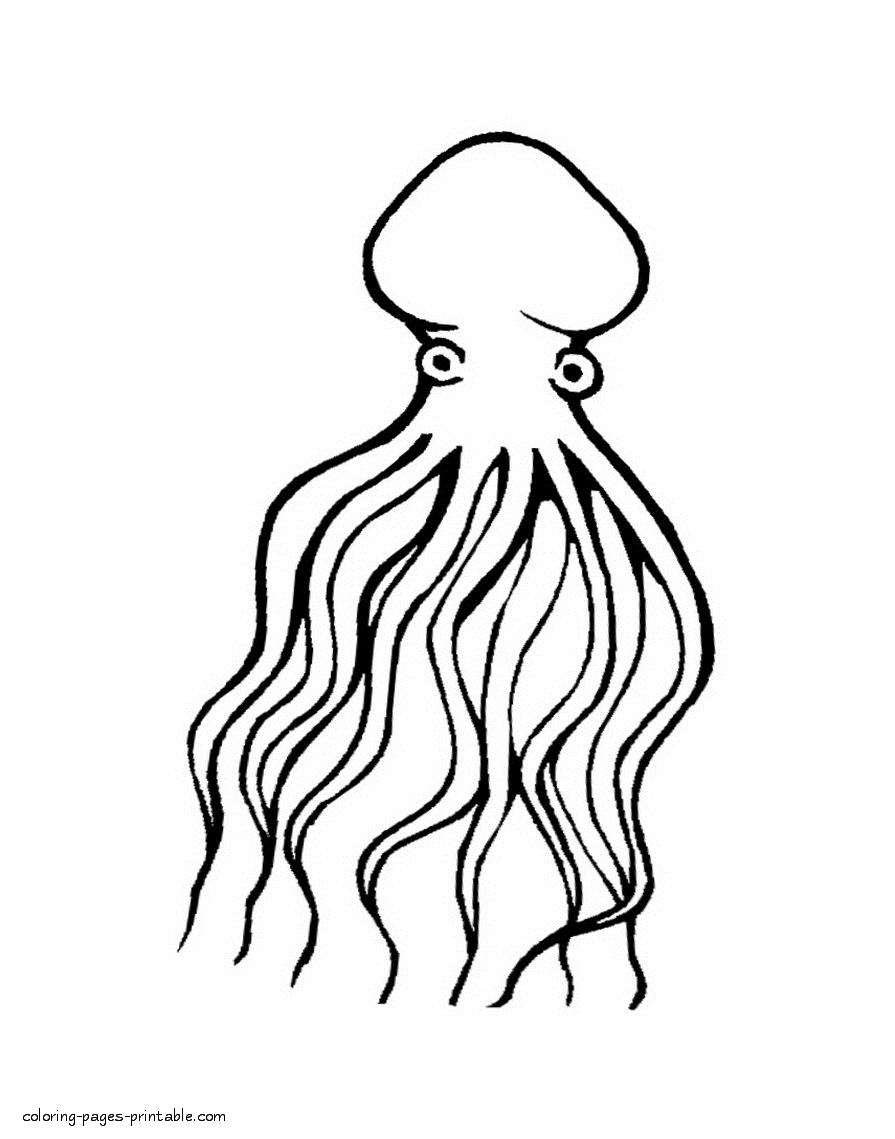 Octopus coloring pages to print. Sea animal