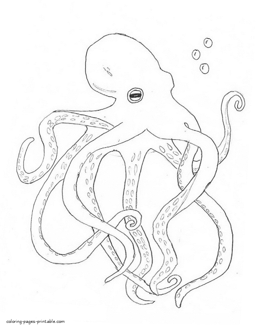 Coloring pages of octopus. Marine animals