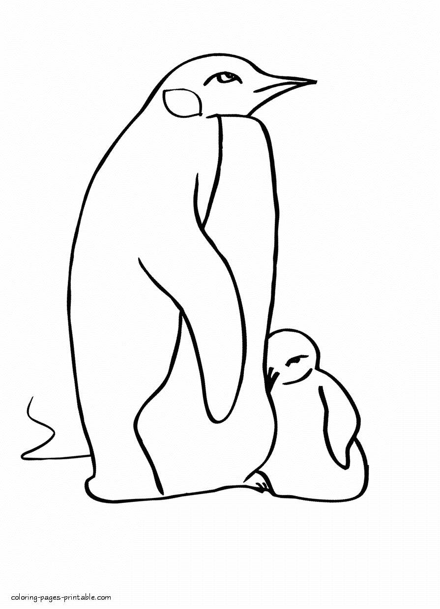 Sea animals. Penguins coloring pages