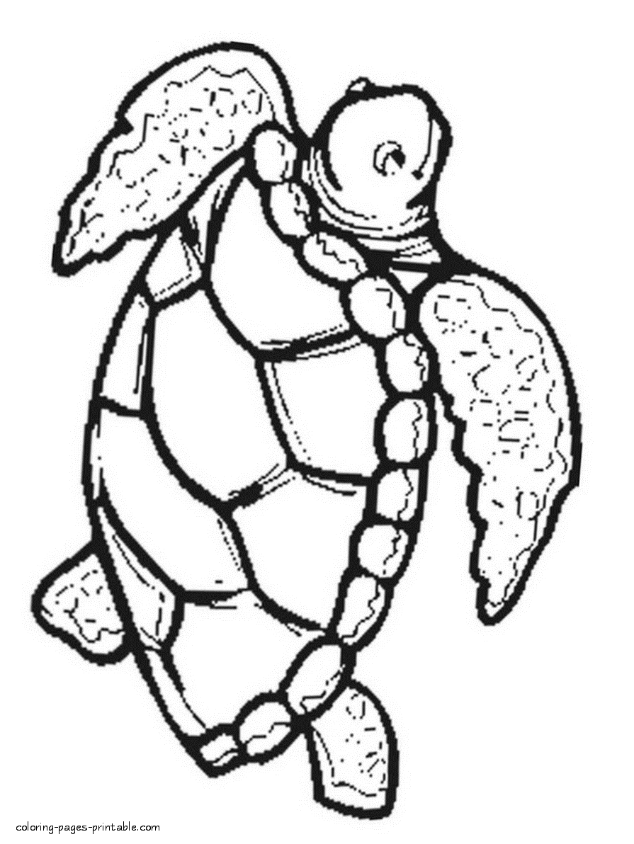 Sea animal coloring pages. Turtles pictures