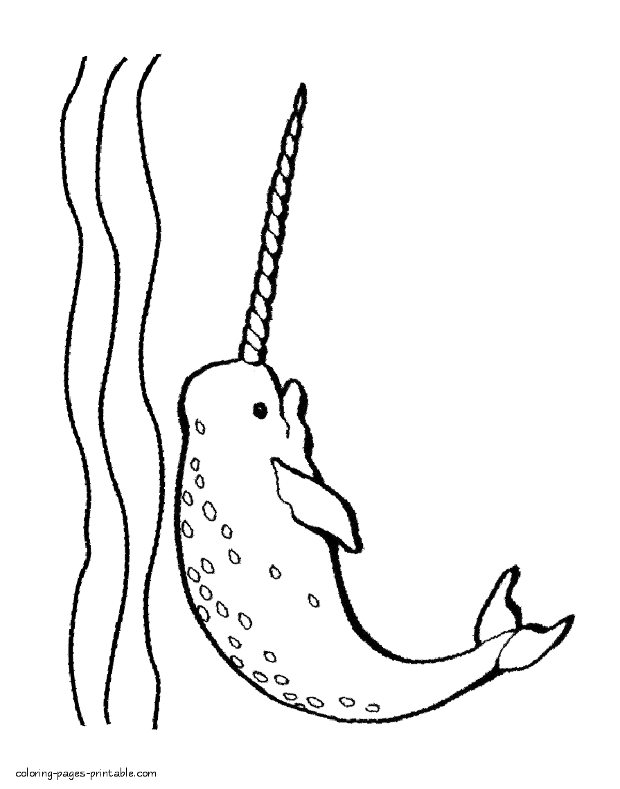 Narwhal coloring page COLORINGPAGESPRINTABLECOM