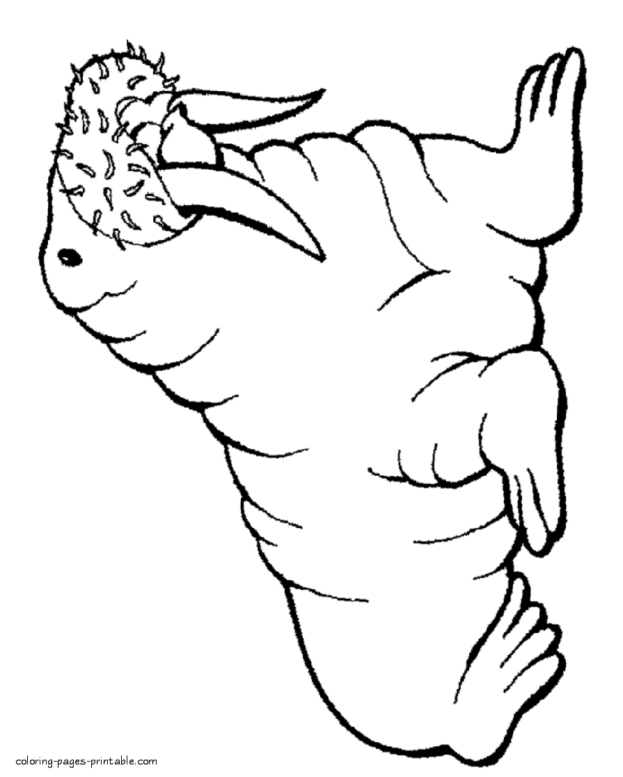 Walrus coloring pages. Nordic animals printables