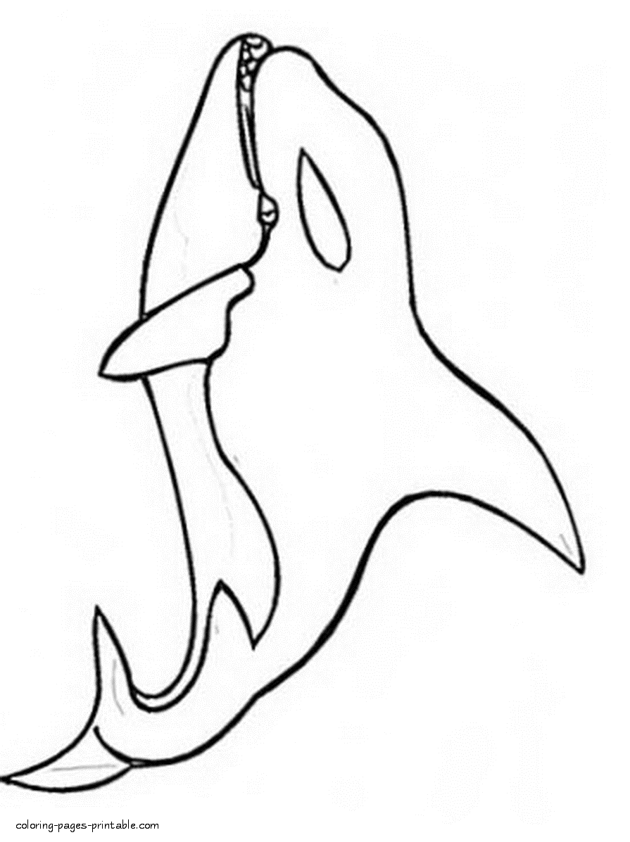Killer whale coloring pages for kids
