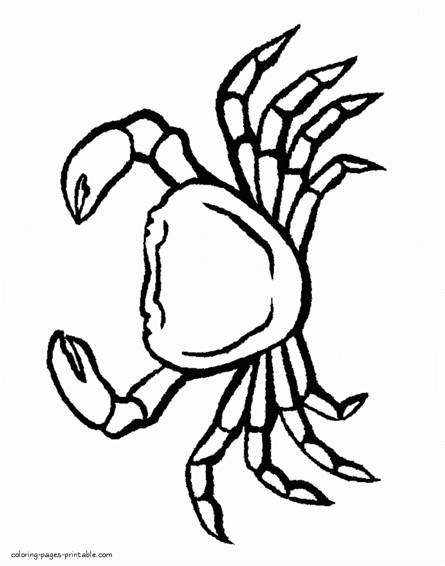 Sea animal coloring page - crab pictures