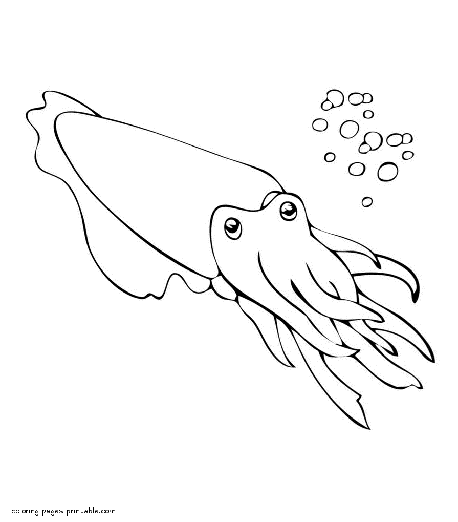 Coloring book of the sea animals. Cuttlefish