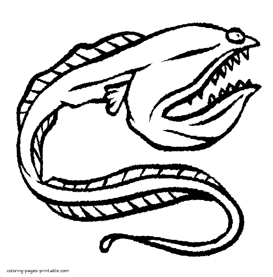 Eel coloring pages to print