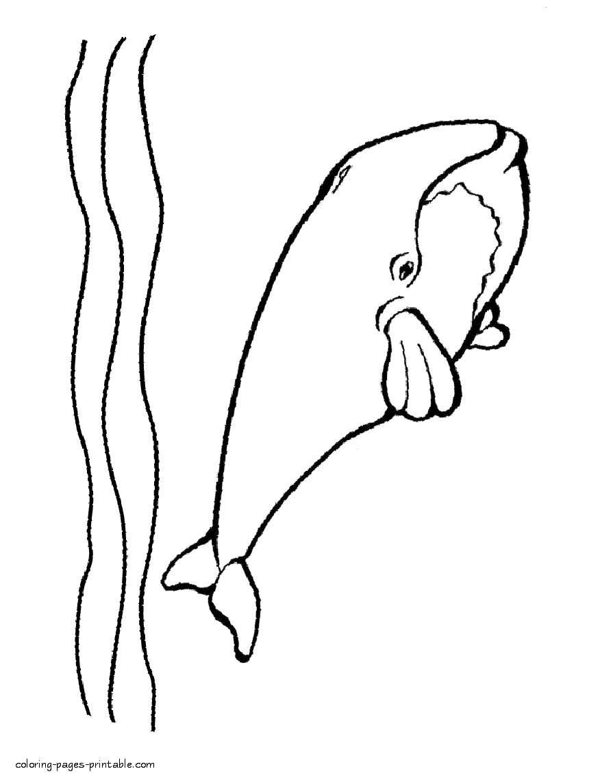 Sea animals colouring pages. The whale in the ocean