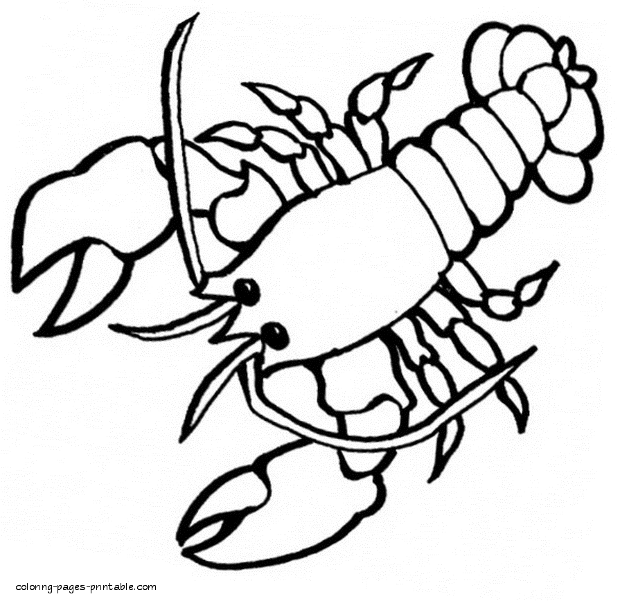 Lobster coloring pages. Animals that live in the sea
