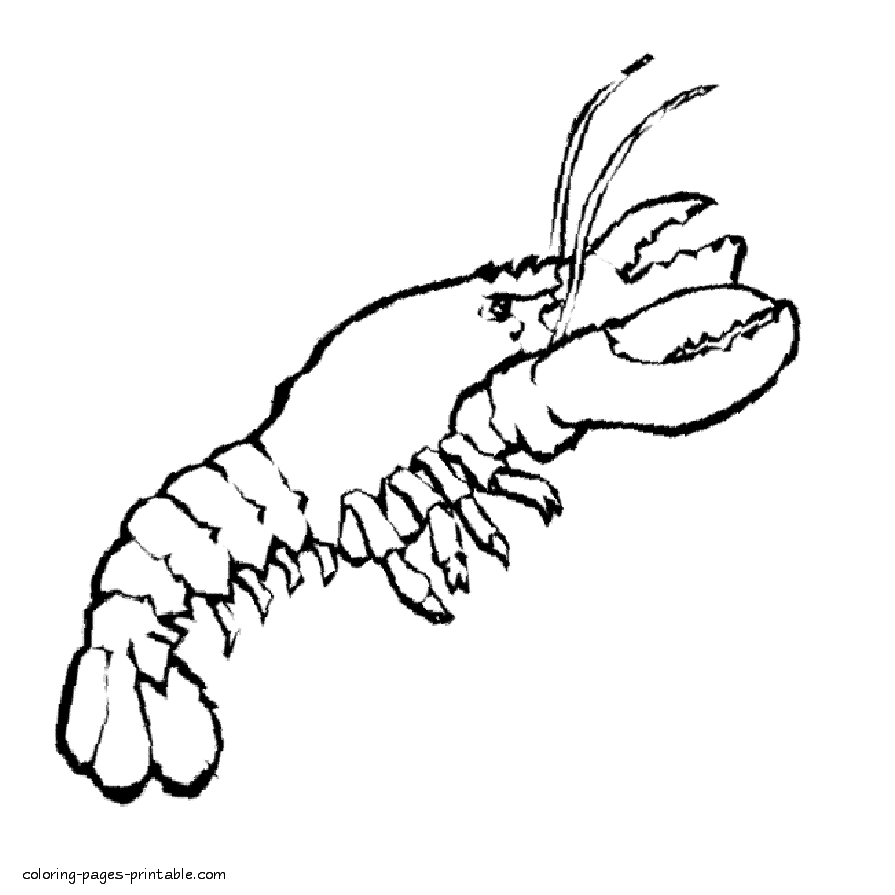 Printable pictures of sea animals. Lobster coloring pages