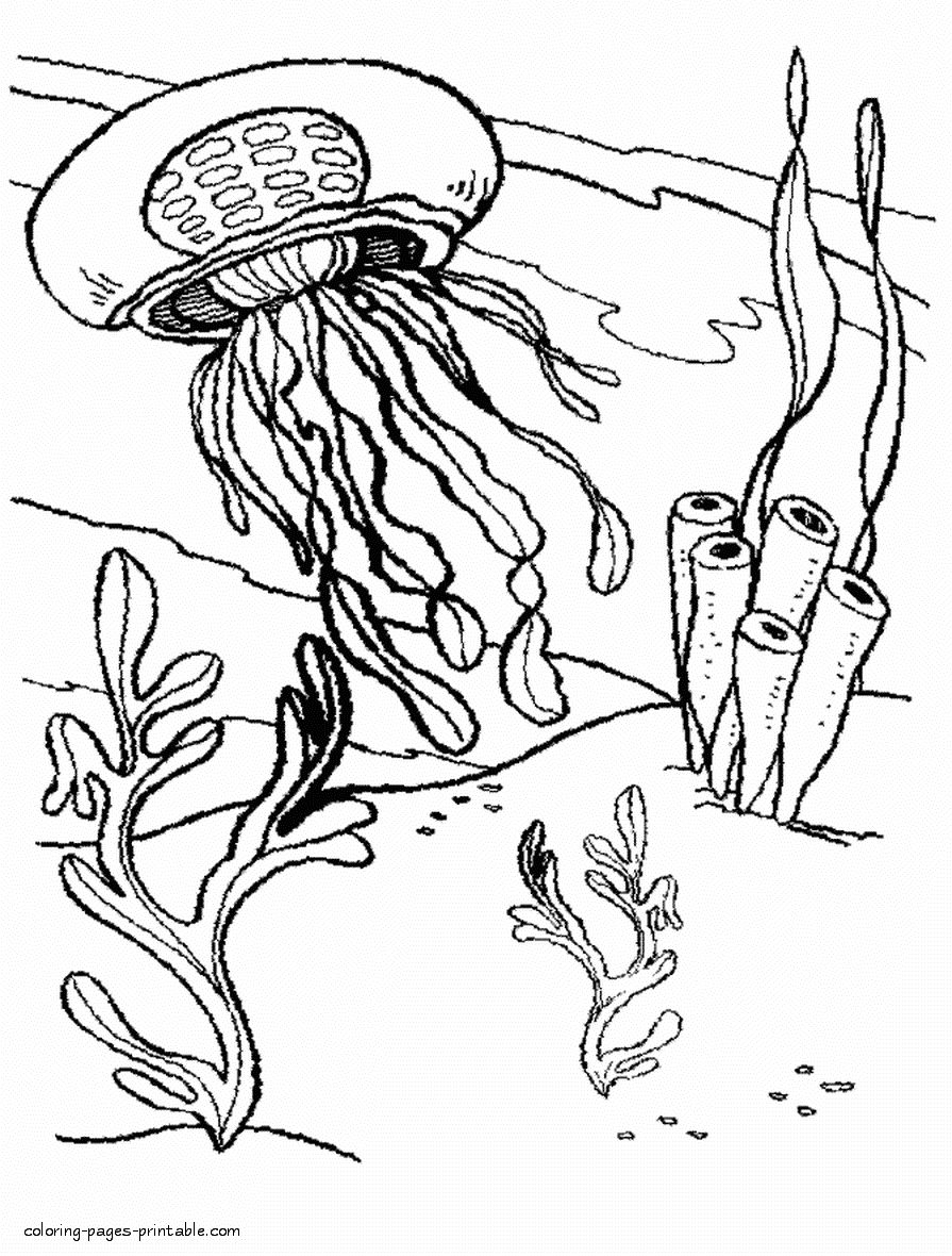 Printable sea animals. Free jellyfish coloring page