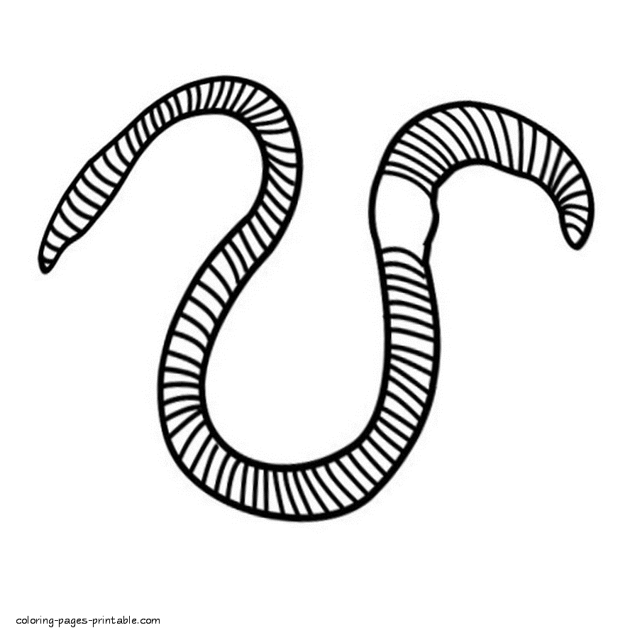 Earthworm coloring pages