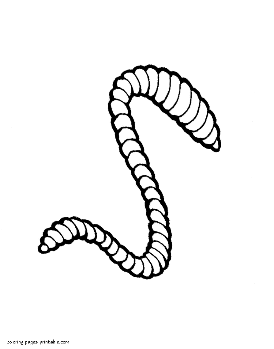 Realistic worm coloring sheet to print