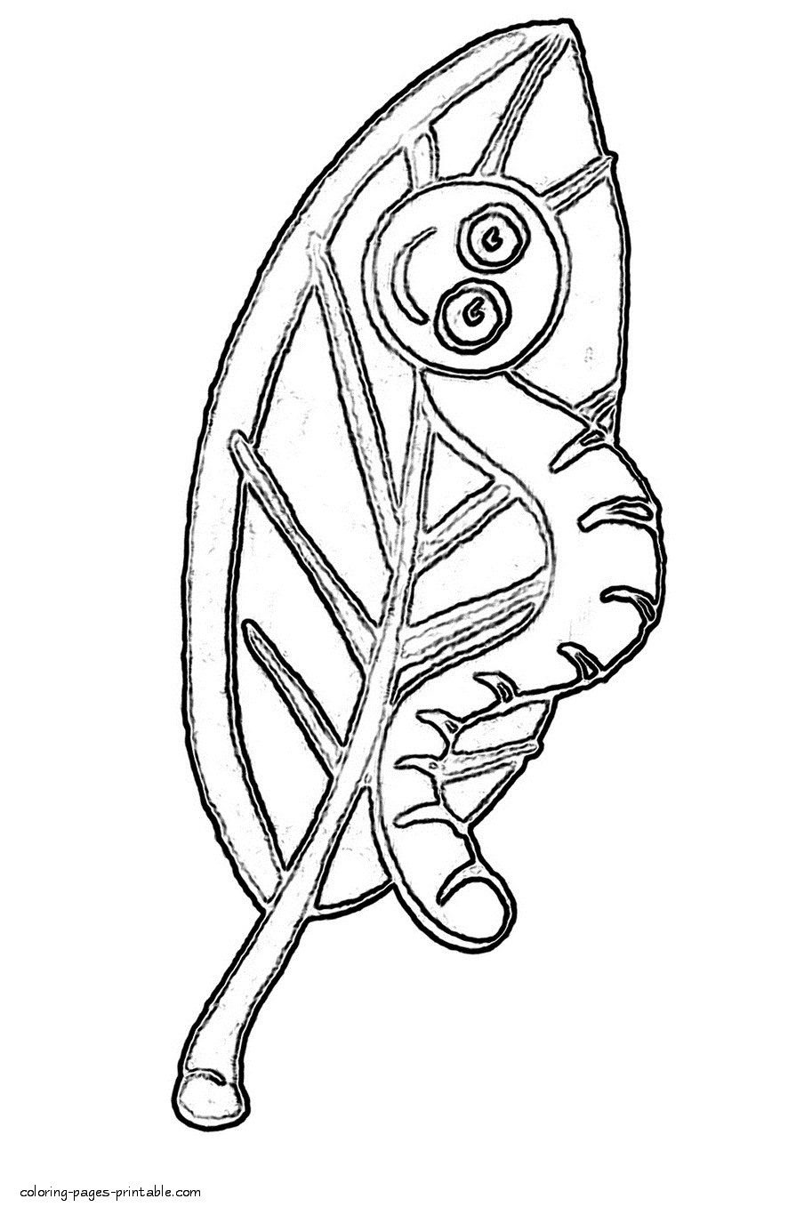 A worm and leaf. Colouring pages for boys and girls
