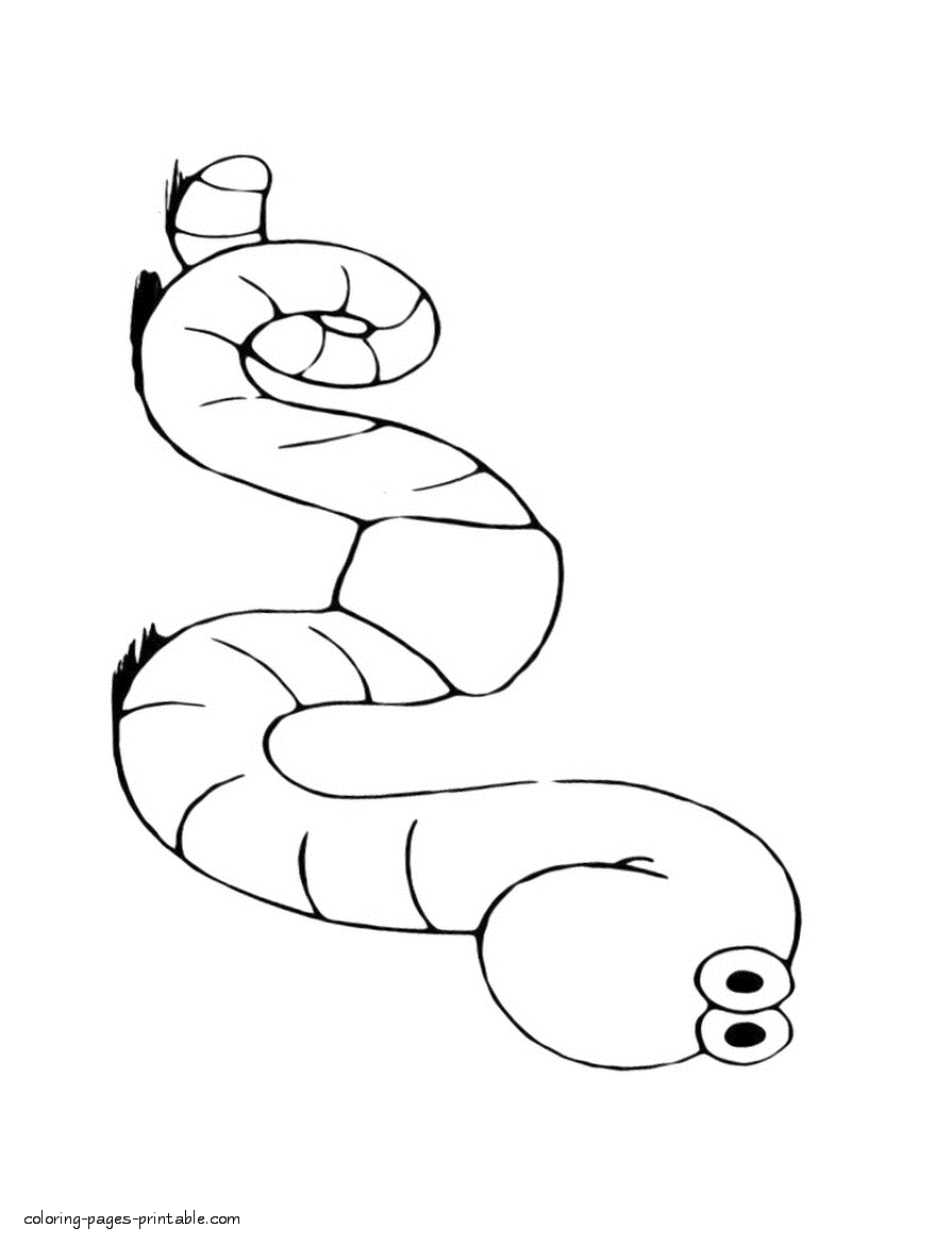 Coloring sheet of earthworm to print