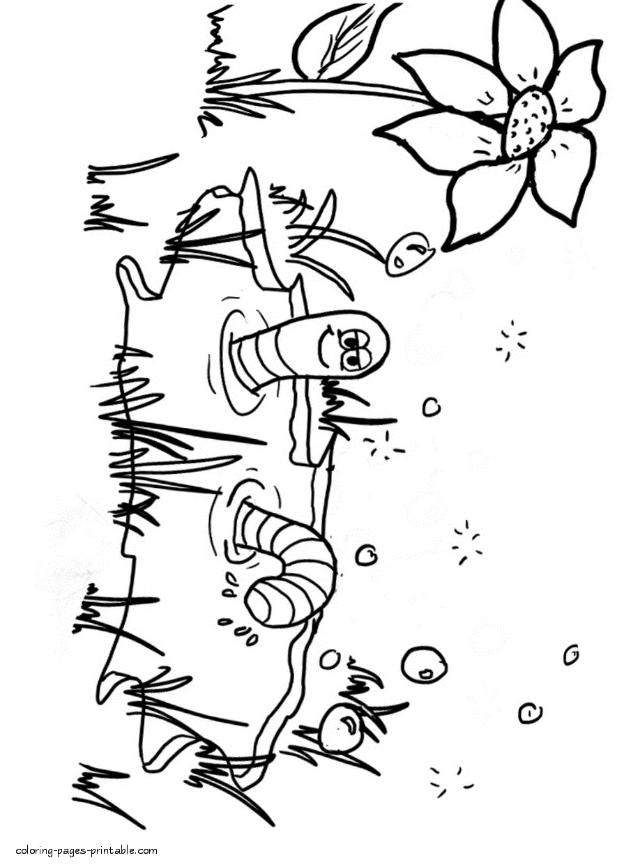 Worm's bath coloring page for download and print