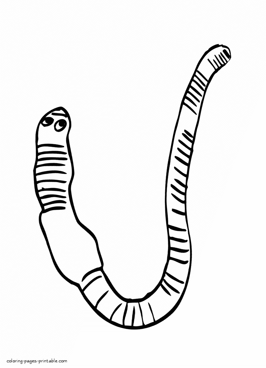 Free coloring pages of worms