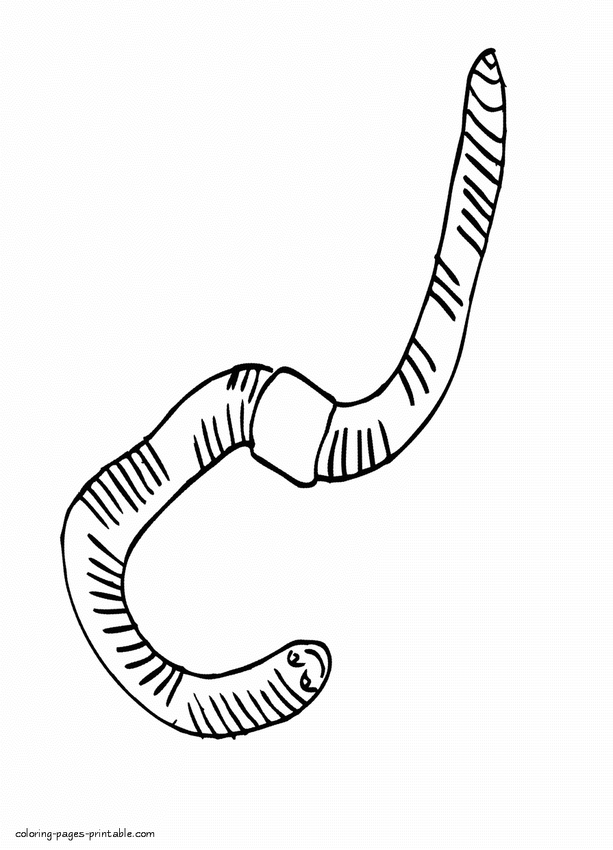 Earth worm coloring page that you can print