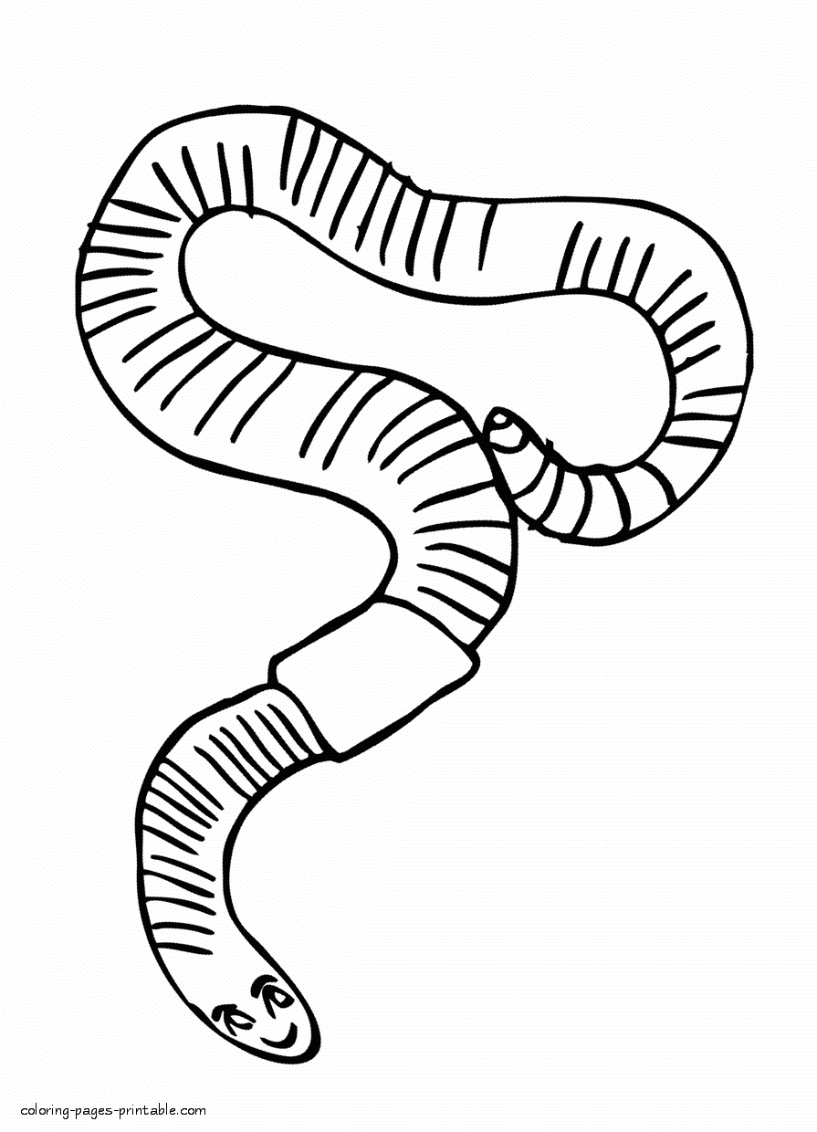 Animals coloring pages. The worm picture