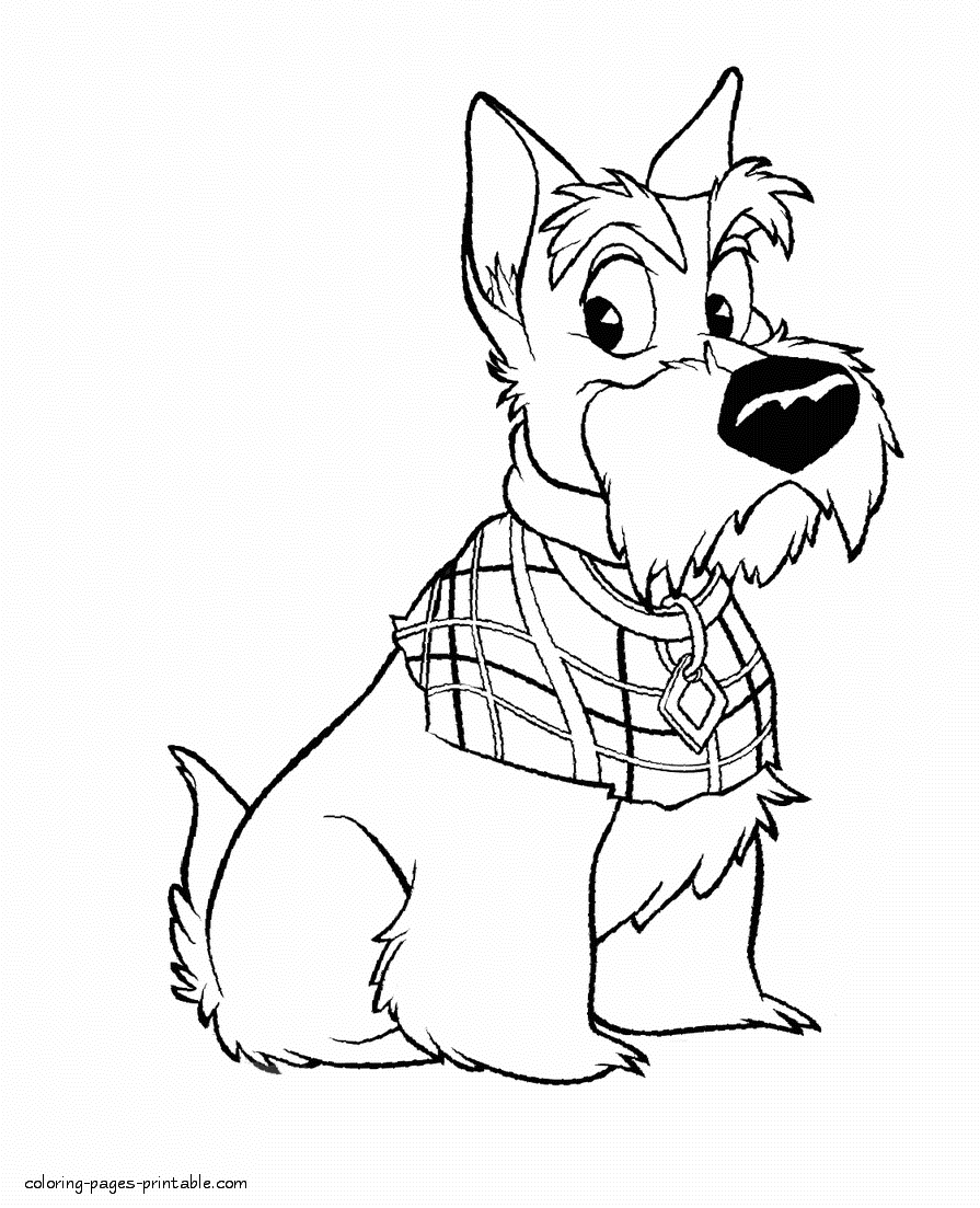 Lady and the Tramp coloring pages. Jock || COLORING-PAGES-PRINTABLE.COM