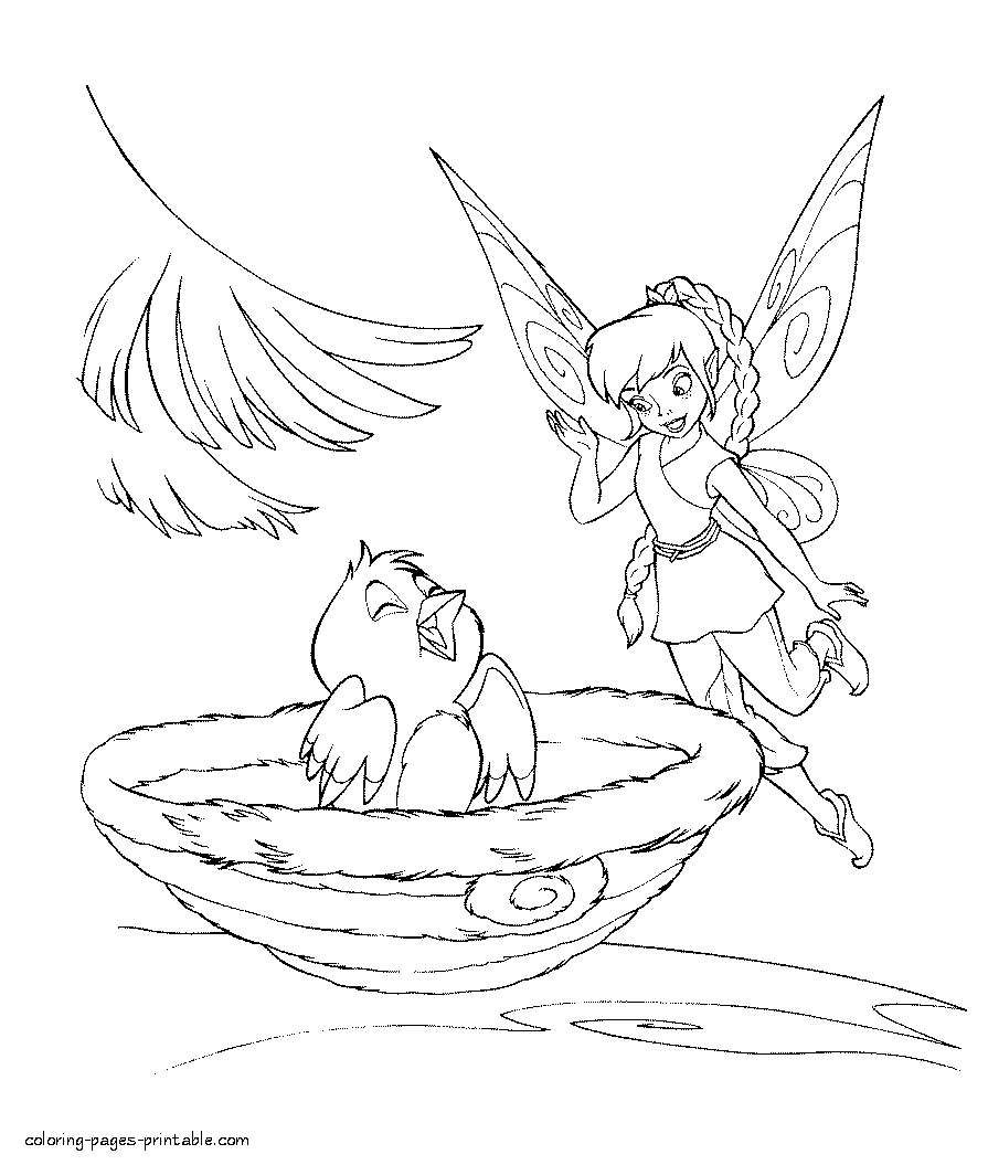 Fairy and the nestling free coloring sheet