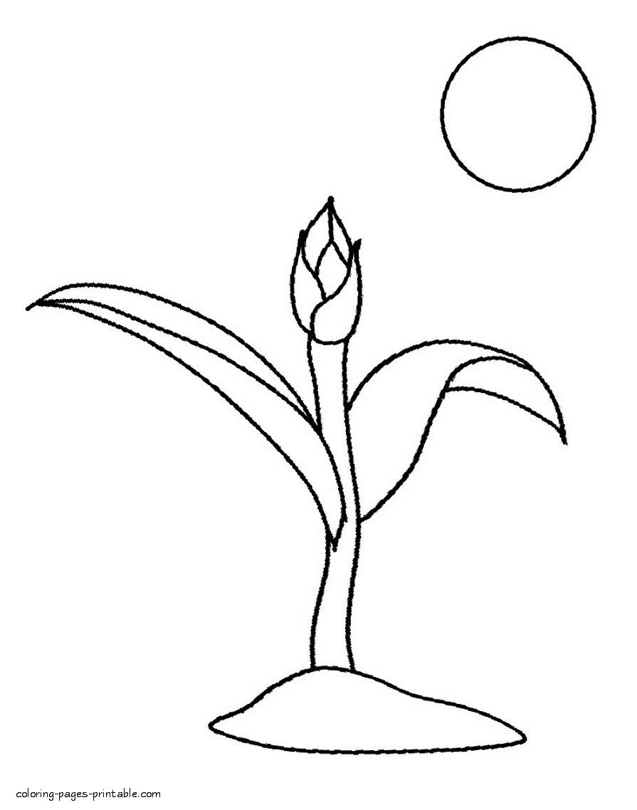 Coloring pages for kindergarteners and preschoolers. Earth Day