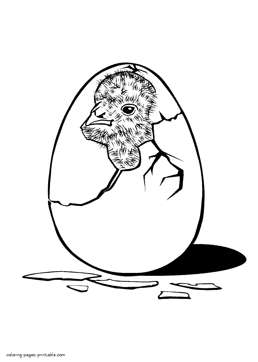 Egg and chick coloring page