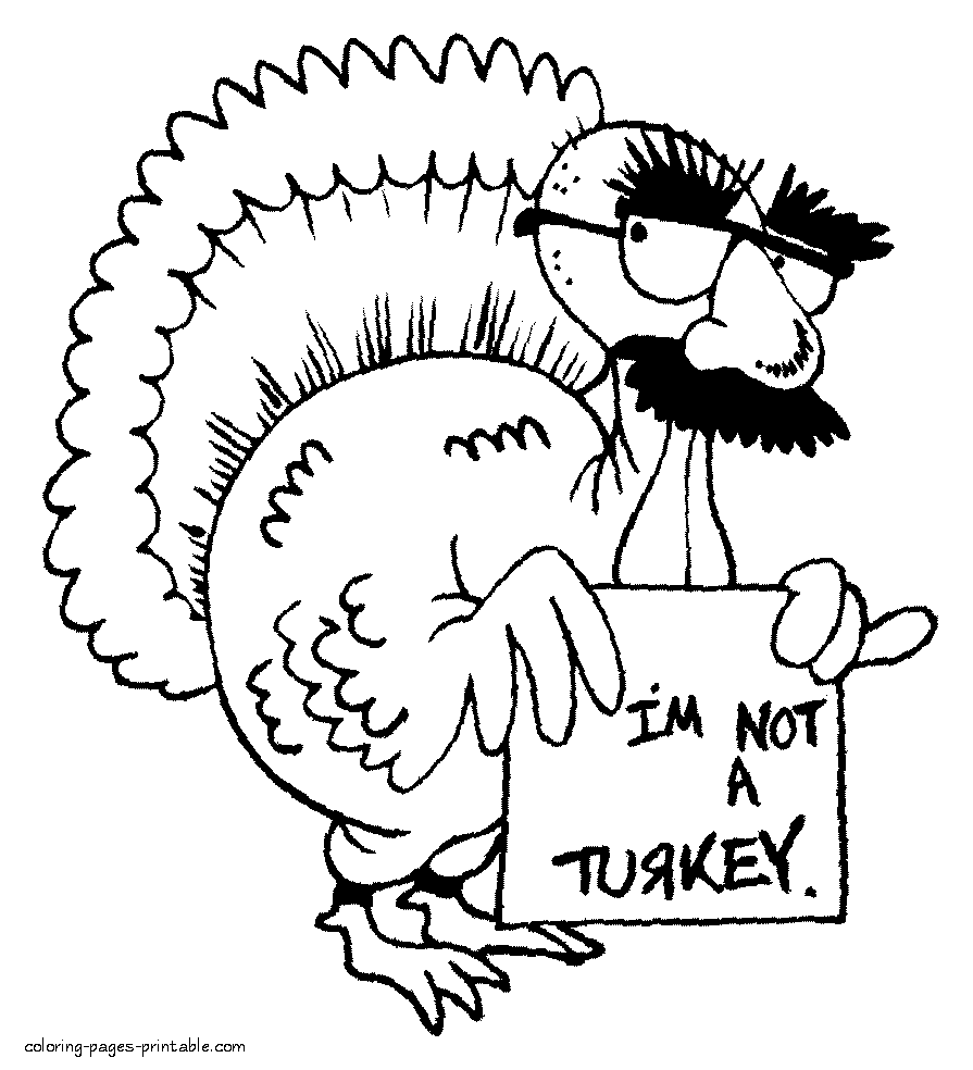 Coloring pages of turkey