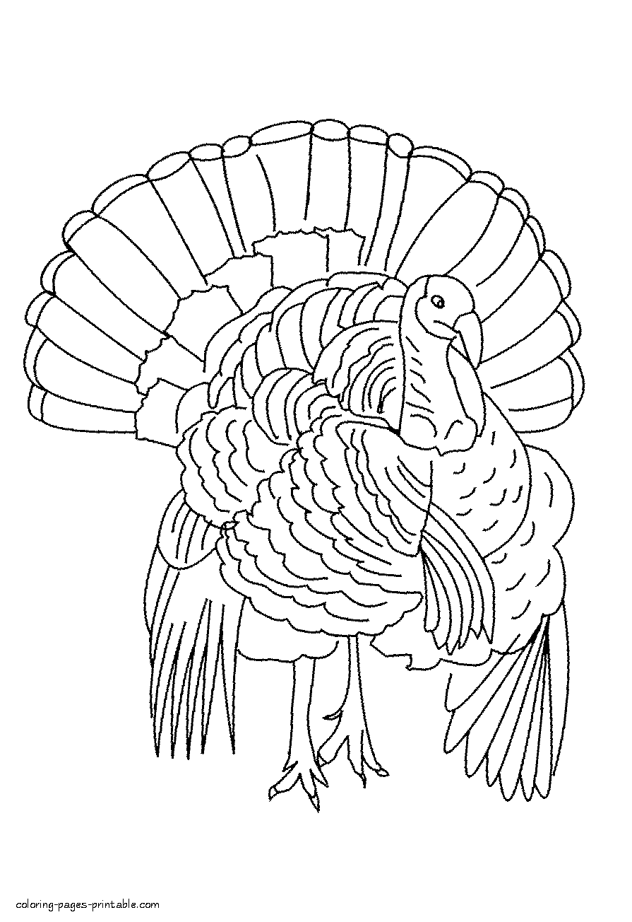 Turkey coloring pages free to download