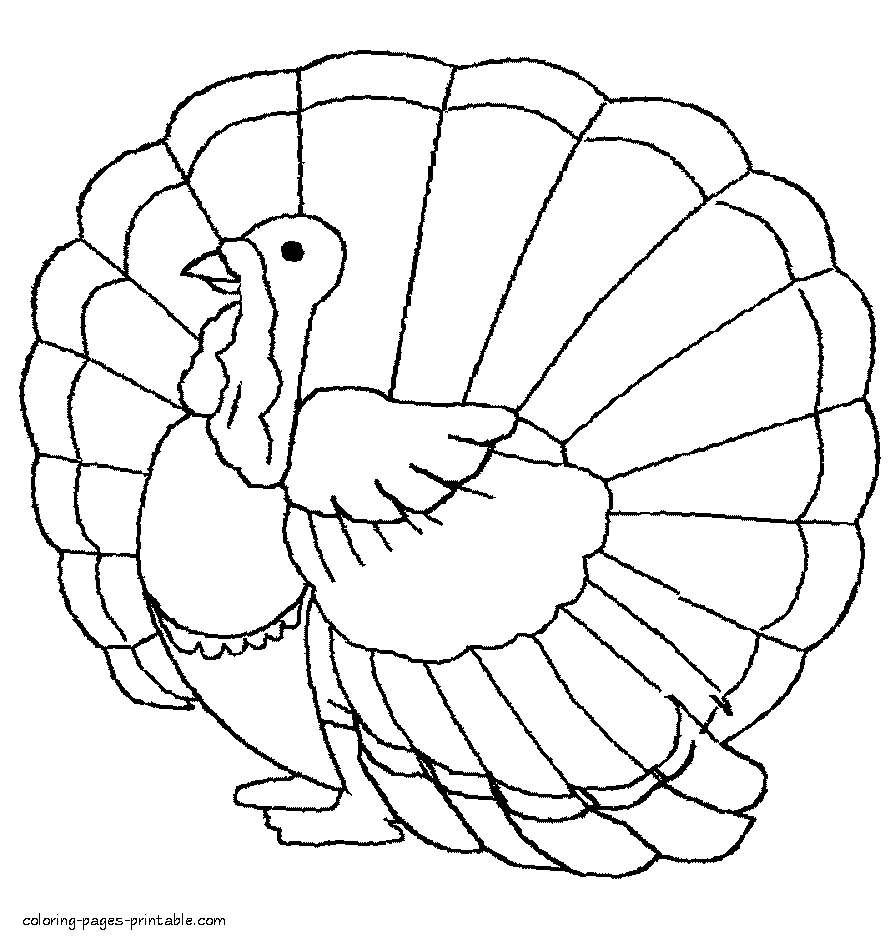 Free coloring pages. Turkey bird