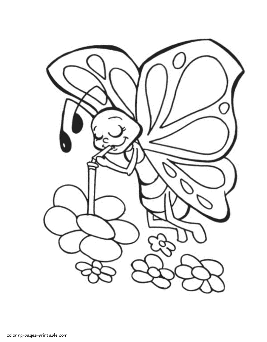 Butterfly is drinking nectar coloring page