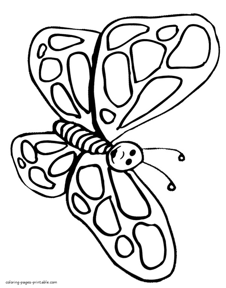 Butterfly colouring pages free printable and downloadable