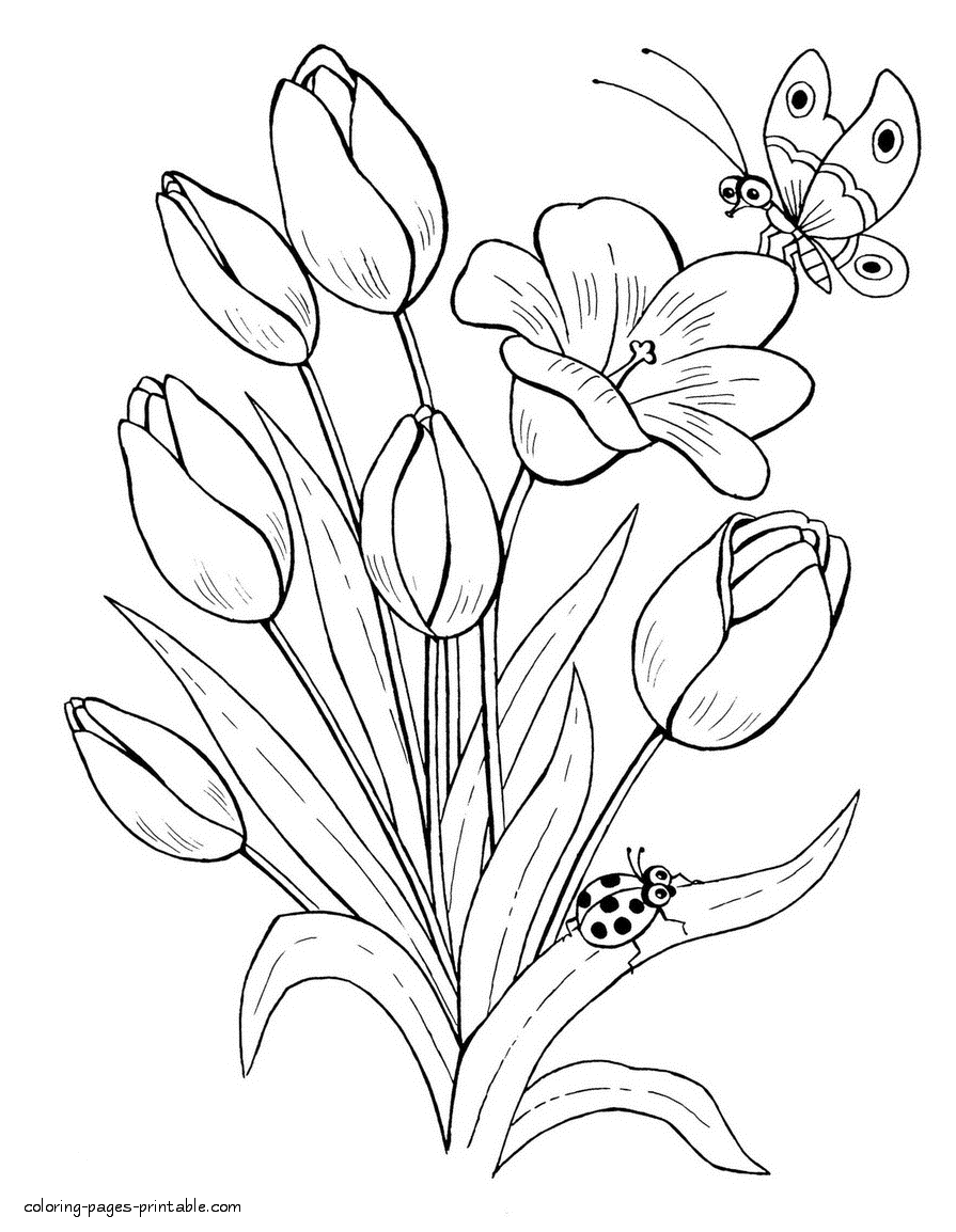 Butterfly, ladybug and tulips coloring page