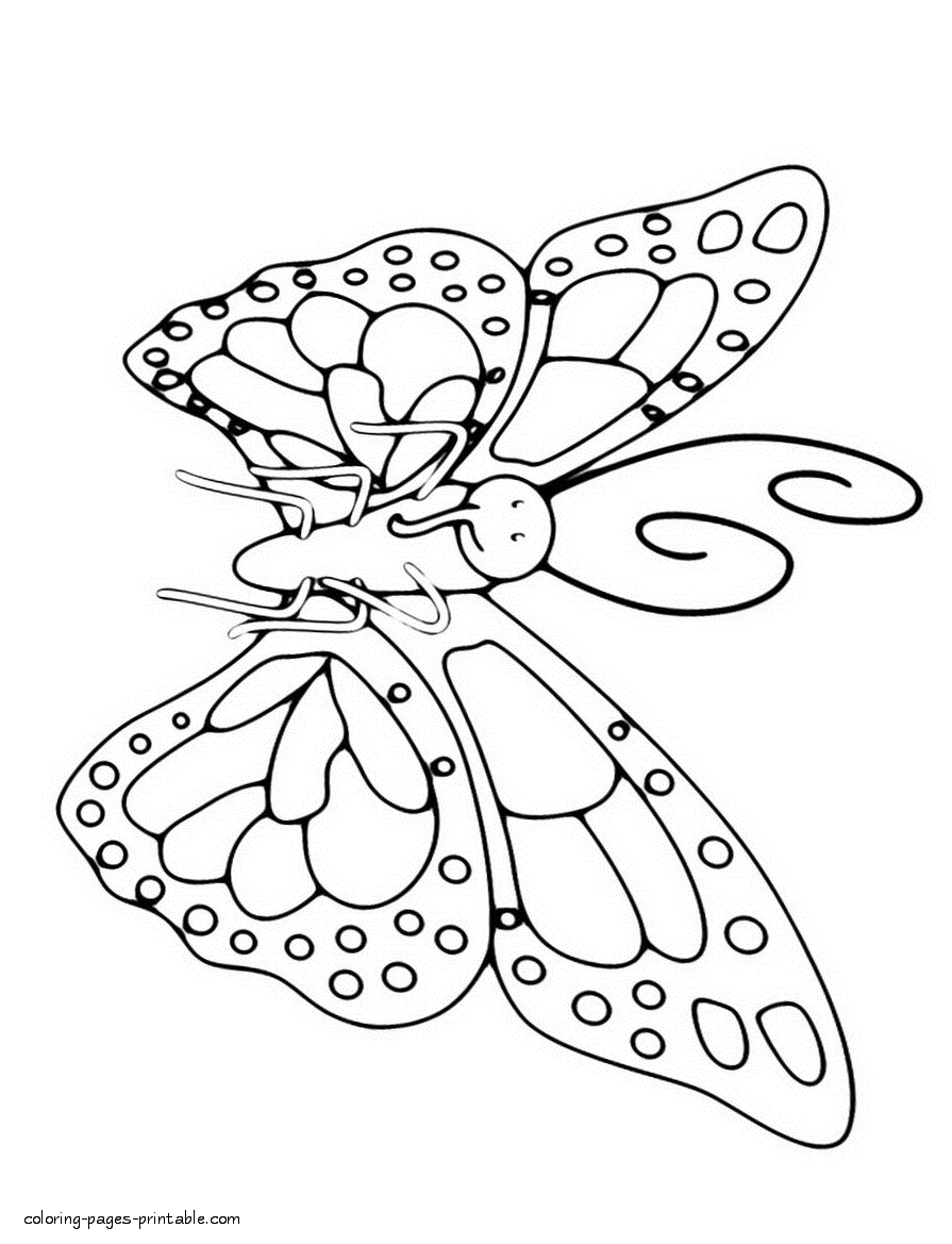 Coloring page of the butterfly with the long proboscis. Download free
