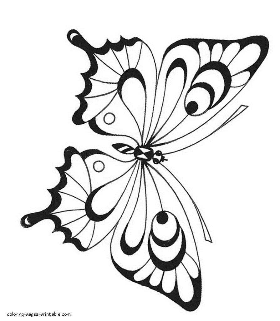 Сoloring pages butterflies COLORING PAGES PRINTABLE