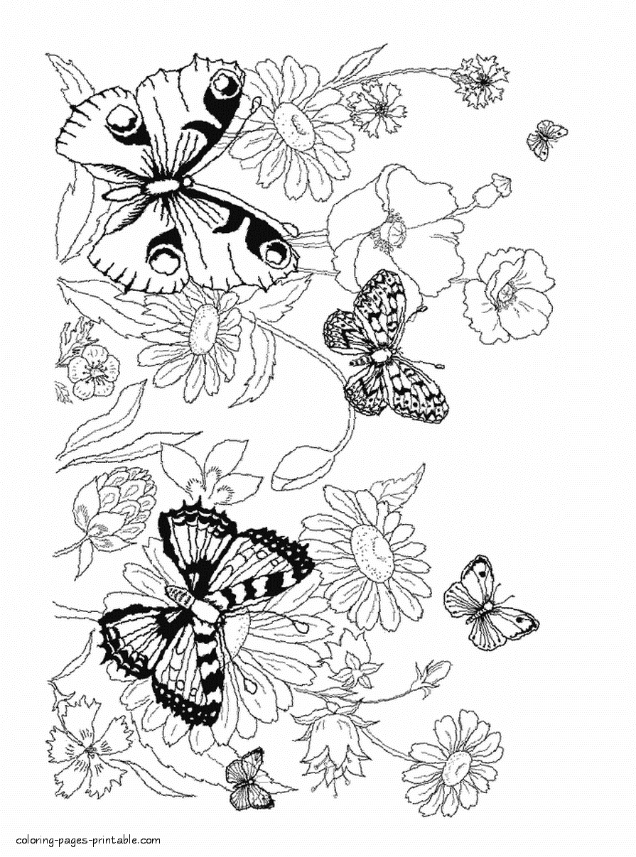 Coloring pages flowers and butterflies || COLORING-PAGES-PRINTABLE.COM