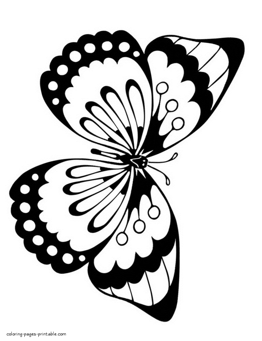 Coloring page butterfly to print