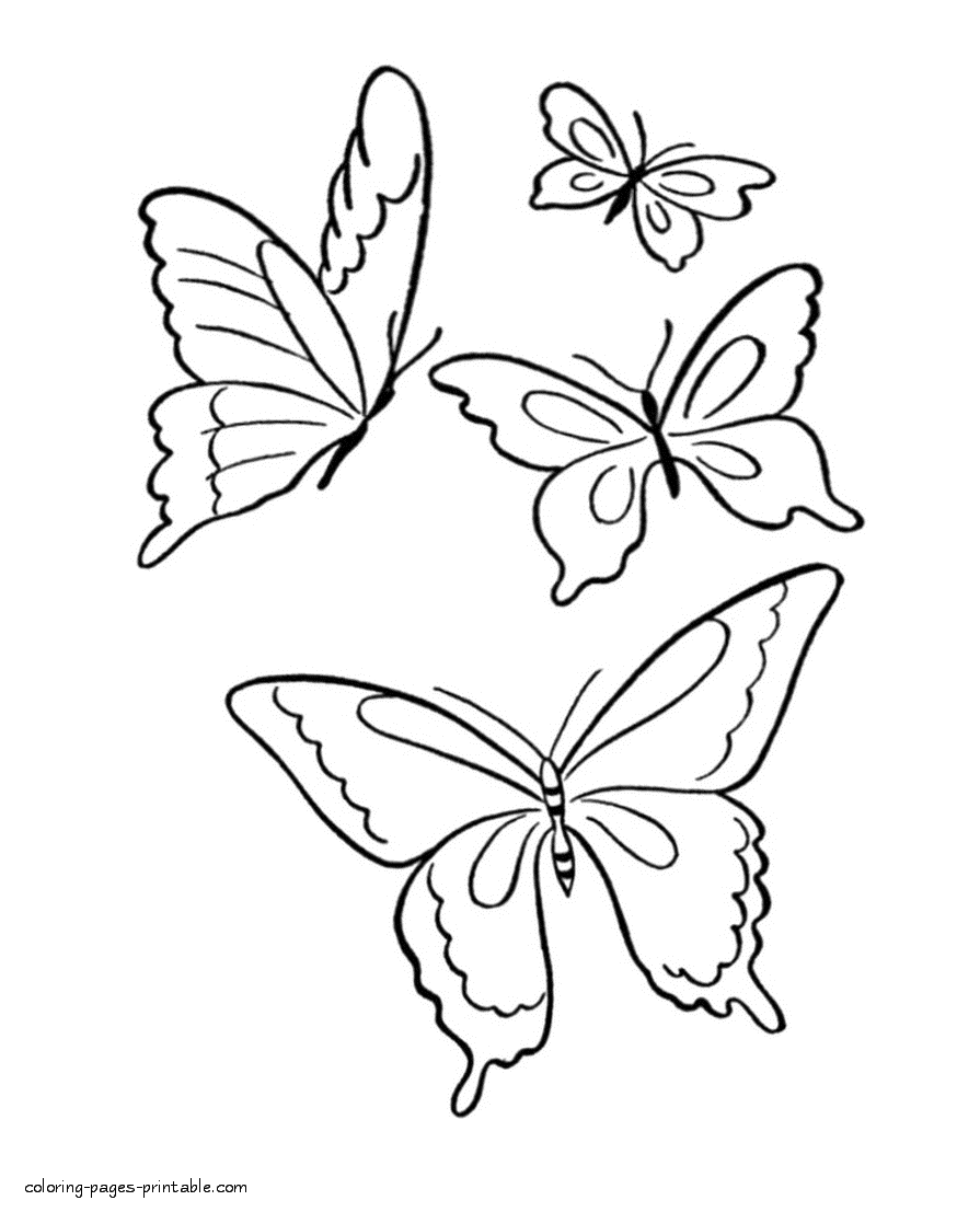 Colouring page of some lovely butterflies