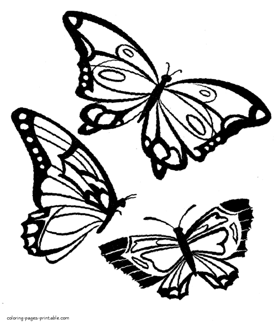 Three butterflies page to color