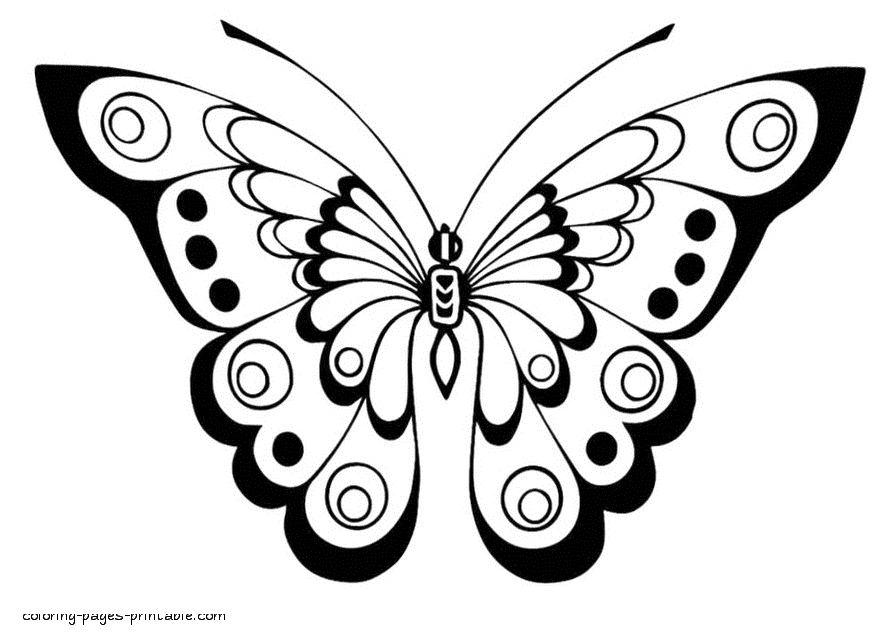 Free coloring book butterfly