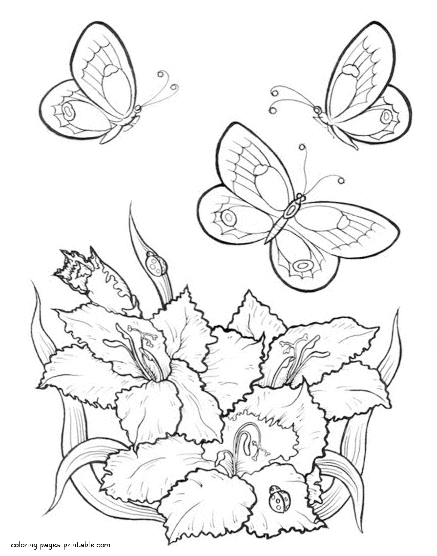 Butterflies Flying Over Flowers COLORING PAGES PRINTABLE COM