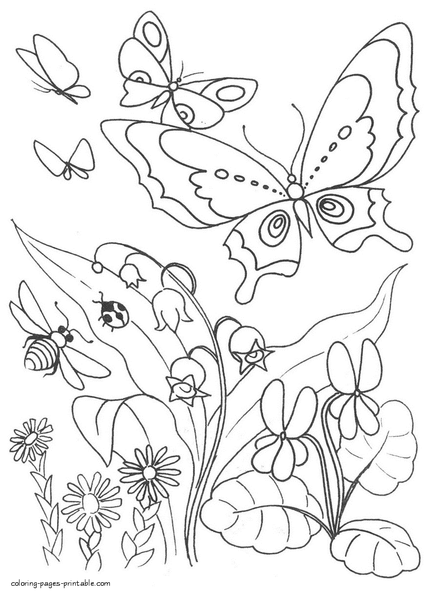 Bumblebee, ladybug and butterflies coloring page || COLORING-PAGES