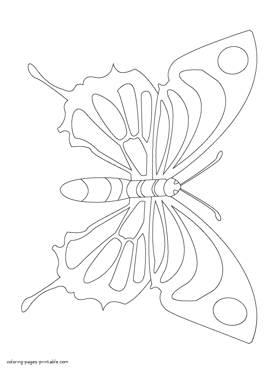 Big butterflies coloring pages